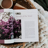 The Daily Grace Co - Path to Purpose | A Study on the Book of Ecclesiastes