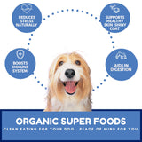 Dog Mamma's LLC - Organic Berry Banana Coconut Recipe - Gourmet Dog Treats