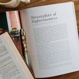 The Daily Grace Co - Stand Firm | Armor of God Study