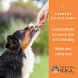 Dog Mamma's LLC - Organic Pumpkin Snaps Recipe - Gourmet Dog Treats