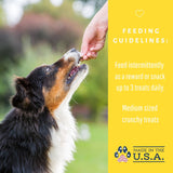 Dog Mamma's LLC - Organic Peanut Butter Banana Recipe - Gourmet Dog Treats