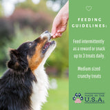 Dog Mamma's LLC - Organic Sweet Potato & Kale Recipe - Gourmet Dog Treats