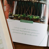 The Daily Grace Co - Stand Firm | Armor of God Study