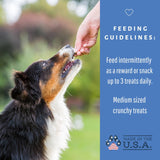 Dog Mamma's LLC - Organic Berry Banana Coconut Recipe - Gourmet Dog Treats