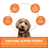 Dog Mamma's LLC - Organic Pumpkin Snaps Recipe - Gourmet Dog Treats