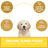 Dog Mamma's LLC - Organic Peanut Butter Banana Recipe - Gourmet Dog Treats