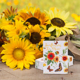 Bentley Seed Co. - Sunflowers For Mom - All Sorts Sunflower Seed Packets