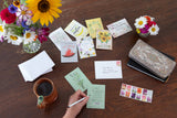Bentley Seed Co. - Happy Birthday - Bee - Forget Me Not Seed Packets
