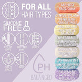 Luxiny Products - Luxurious Bath and Body - Shampoo Bar | Rosemary Lavender -Volume | Rice Protein