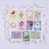 Bentley Seed Co. - Thank You Butterfly Pollinator - Pollinator Flower Mix Seed Packets