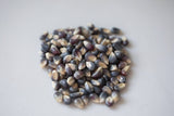 Amish Country Popcorn - 1lb Bag of Midnight Blue Popcorn