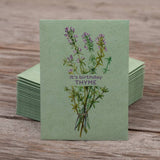 Bentley Seed Co. - It's Birthday Thyme - Thyme Seed Packets