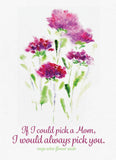 Bentley Seed Co. - Always Pick You Mom - Aster Seed Packets