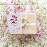 Bentley Seed Co. - Always Pick You Mom - Aster Seed Packets