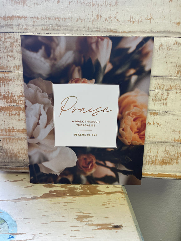 Praise Bible Study | Psalms 91-120
