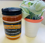 Holmes Made Salsa