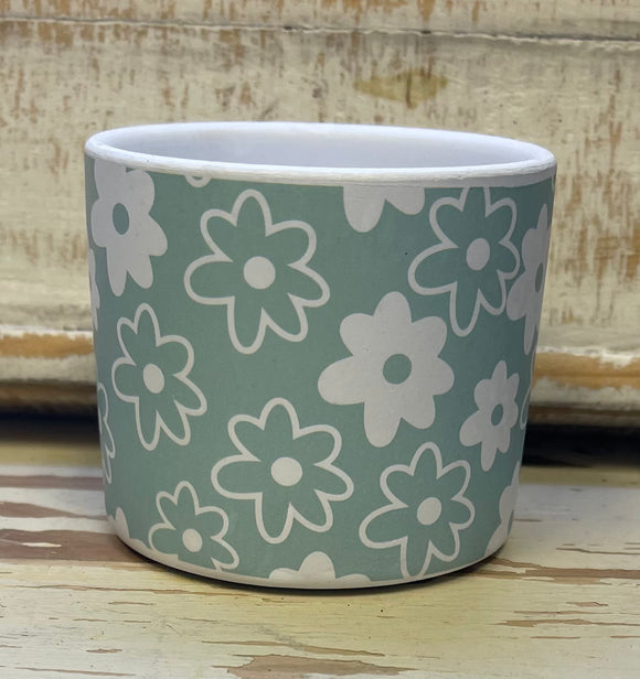 Small Mint Flowering Pot