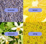 Lavender Ylang Body + Face Dry Oil