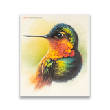 SWEDEdishcloths - Swedish Dishcloth Colorful Hummingbird Silhouette