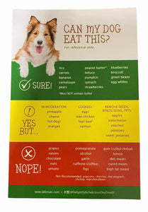 Dog Safe/Unsafe Foods Magnet
