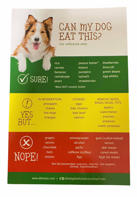 Dog Safe/Unsafe Foods Magnet