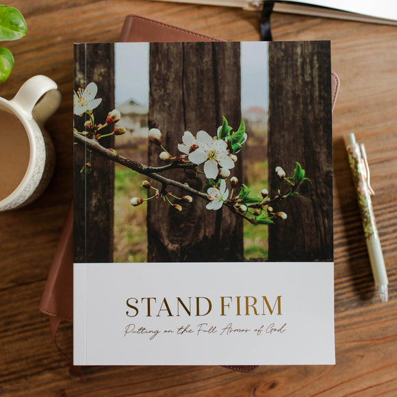 The Daily Grace Co - Stand Firm | Armor of God Study 