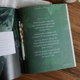 The Daily Grace Co - Stand Firm | Armor of God Study 