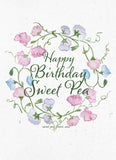 Bentley Seed Co. - Happy Birthday Sweet Pea - Sweet Pea Seed Packets