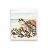 SWEDEdishcloths - Swedish Dishcloth Momma Turtle with babies