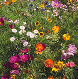 Bentley Seed Co. - Faith Hope Love - Pollinator Wildflower Mix Seed Packets