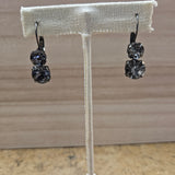 Stunning Grey Jewel Earrings